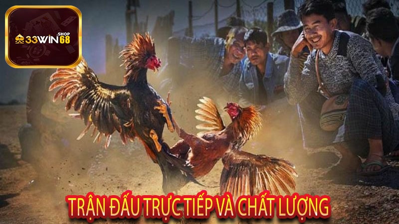Công nghệ và cá cược trực tuyến phát triển