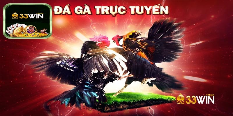 Đá Gà 33win Cách Tham Gia Và Chơi Đơn Giản Nhất