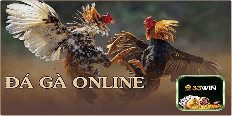 Mẹo Tham Gia Đá Gà 33win Đơn Giản Và Nhanh Nhất